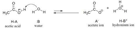 acetic acid and water reaction.